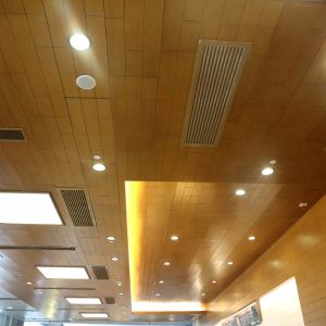 False Ceiling